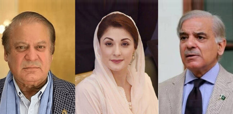 کون کہاں سے الیکشن لڑے گا؟ مسلم لیگ ن نے اعلان کردیا