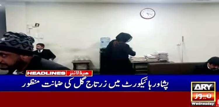 پشاور ہائیکورٹ نے زرتاج گل کی حفاظتی ضمانت منظور کرلی