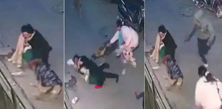 کتے نے بچے کو دبوچ لیا، ماں نے کمسن کی جان کیسے بچائی؟