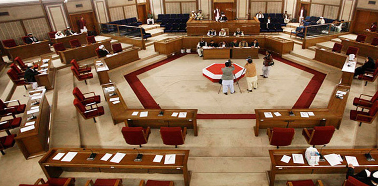 الیکشن 2024 پاکستان: بلوچستان اسمبلی میں پی پی، ن لیگی امیدوار سبقت لے گئے