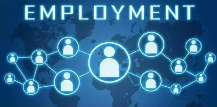 ملک کے پہلے ای روزگار مرکز کا افتتاح کردیا گیا