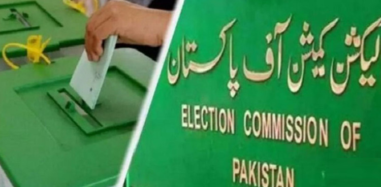 قومی و صوبائی اسمبلیوں کے 105 حلقوں کے غیر حتمی نتائج