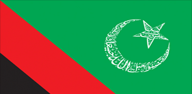 غیر مشروط طور پر پی ٹی آئی کے ساتھ کھڑے ہیں، ایم ڈبلیو ایم