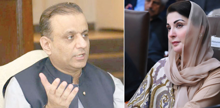 مریم نواز اور علیم خان کی کامیابی کے انتخابی نتائج روکنے کی درخواست پر فیصلہ محفوظ