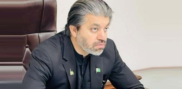 راتوں رات نتائج تبدیل کیے گئے قوم اس کوقبول نہیں کرے گی، علی محمد خان