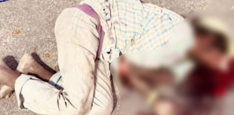 نائب تحصیلدار نے بھکاری کو لات ماردی، ٹرک کی زد میں آکر ہلاک