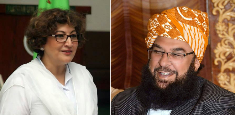 جے یو آئی کے مولانا عبدالغفورحیدری اور مسلم لیگ ن کی نزہت صادق سینیٹ کی نشست سے مستعفی