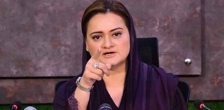 روئیں، چیخیں یا پٹیں این آراونہیں ملنا ، مریم اورنگزیب