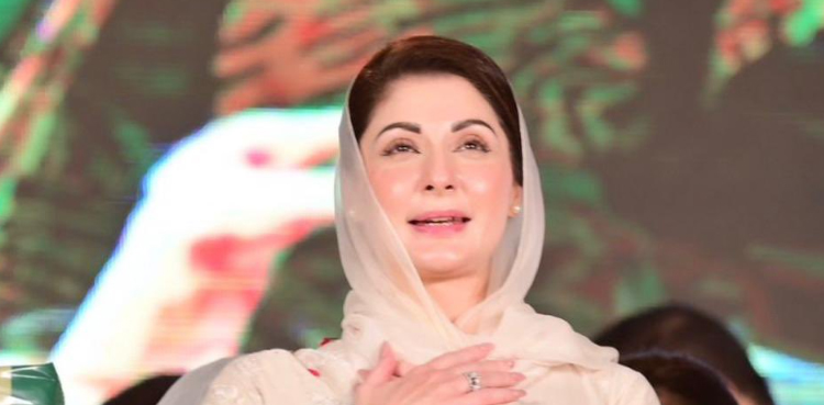 مریم نواز پاکستان اور پنجاب کی پہلی خاتون وزیراعلیٰ  منتخب