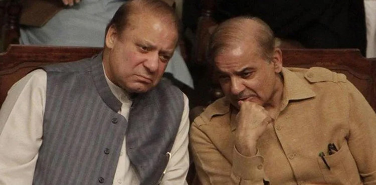 نواز شریف اور شہباز شریف کی اہم ملاقات،  15 سینئر رہنماؤں کے نام وفاقی وزیر کے لئے زیرِ غور