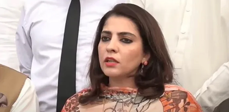 سینیٹر پلوشہ خان