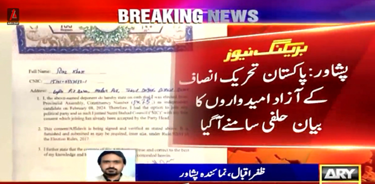 پاکستان تحریک انصاف کے آزاد امیدواروں کا بیان حلفی سامنے آگیا