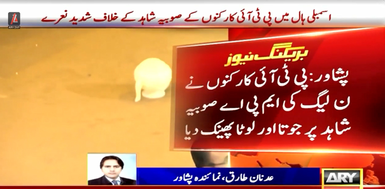 خیبر پختونخواہ اسمبلی میں پی ٹی آئی کارکنوں نے ن لیگ کی ایم پی اے صوبیہ شاہد پر جوتا اور لوٹا پھینک دیا