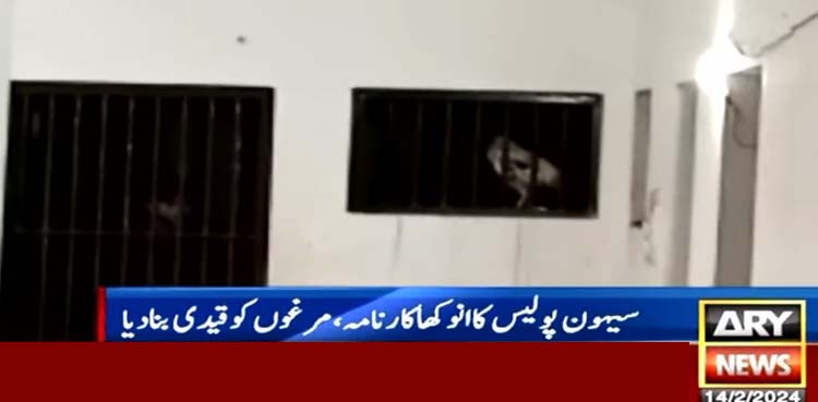 مرغے تھانے میں قید