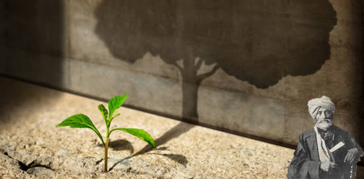 گلشنِ امید کی بہار