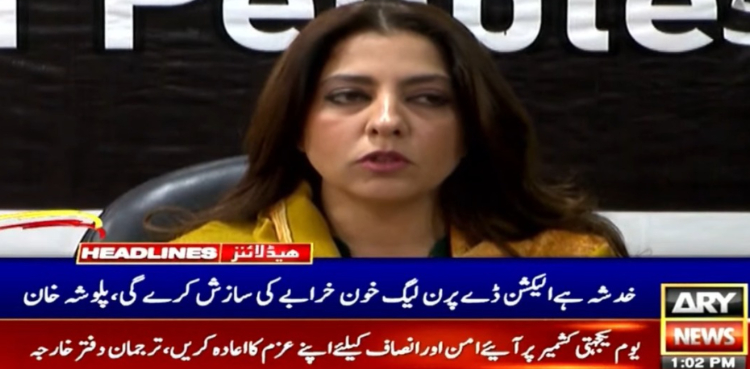 خدشہ ہے الیکشن ڈے پر ن لیگ خون خرابے کی سازش کرے گی: پلوشہ خان