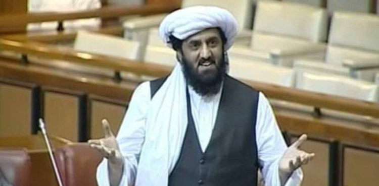 ن لیگ اور پی پی کے بیان پر جمعیت علمائے اسلام کا ردعمل