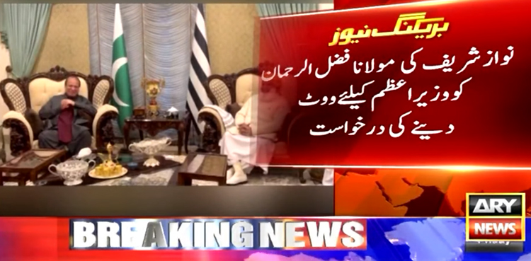 فضل الرحمان نے نواز شریف سے ملاقات میں شکایات کے ڈھیر لگا دیے