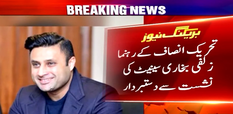 زلفی بخاری سینیٹ کی نشست سے دستبردار ہوگئے