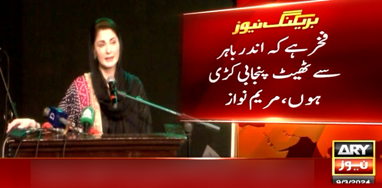 پنجاب کے لوگوں نے وزیر اعلیٰ کی سیٹ پر دھی رانی کو بٹھا دیا، مریم نواز