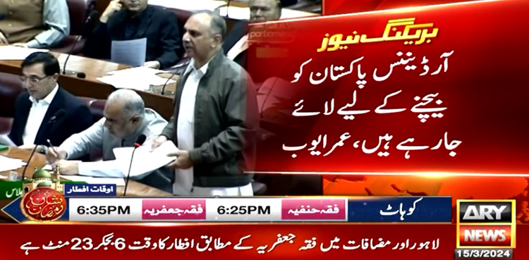 آرڈیننس پاکستان کو بیچنے کیلیے لائے جا رہے ہیں، عمر ایوب