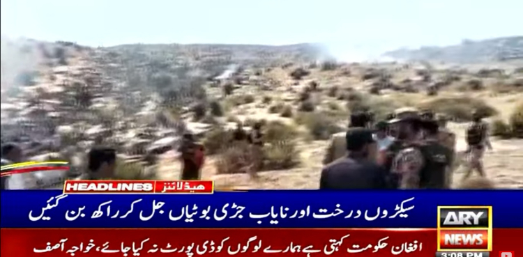 بارکھان: کوہ جاندران میں آگ بے قابو، سیکڑوں قیمتی جڑی بوٹیاں جل کر خاکستر ہوگئیں