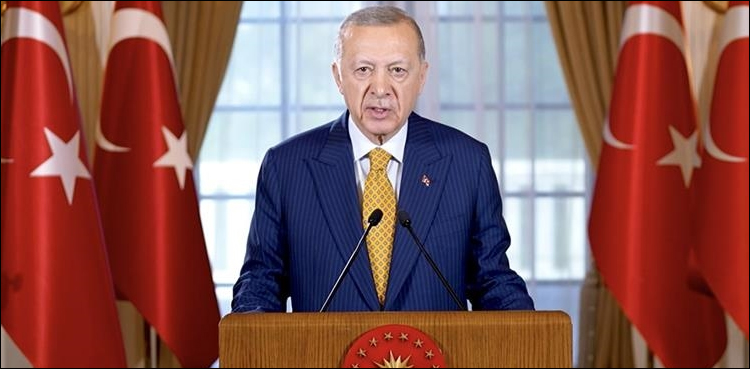 اردوان نے یوکرینی صدر کے 10 نکاتی فارمولے کی حمایت کر دی