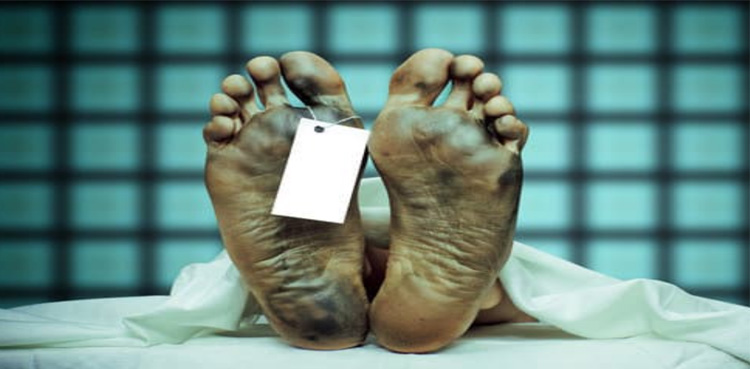یہاں سے گدھا گاڑی لےکر کیوں گزرے؟ بااثر افراد نے محنت کش کو قتل کردیا