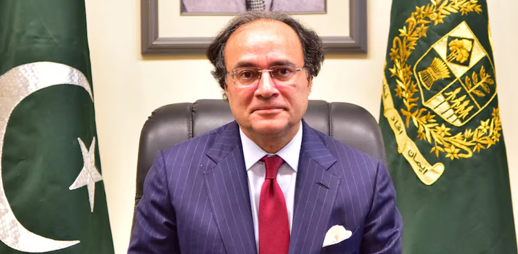 پاکستان 300 ملین ڈالر کے پانڈا بانڈز چینی مارکیٹ میں فروخت کرے گا: وزیر خزانہ