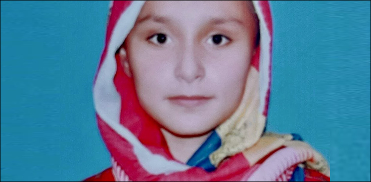 فلک نور کیس پر ترجمان اور وزیر داخلہ جی بی کا رد عمل