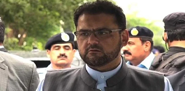 میرا اور حسن نواز کا حکومت سے کوئی تعلق نہیں ، حسین نواز