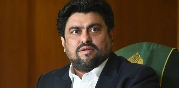 گورنر سندھ  کی کچے کے ڈاکوؤں  کو آئی ٹی کورس کرانے کی پیشکش