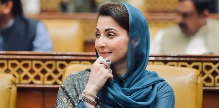 امریکا نے مریم نواز کے پہلی خاتون وزیراعلیٰ بننے کو سنگ میل قرار دے دیا