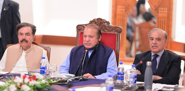 مسلم لیگ ن کا قائم مقام صدر کون ہوگا؟