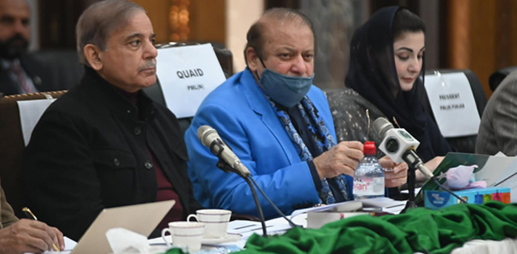 ن لیگ میں شامل ہونے والے آزاد امیدواروں نے وزارتیں مانگ لیں