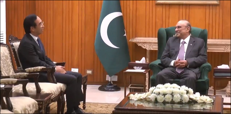 صدر آصف زرداری سے پاکستان میں جاپان کے سفیر مٹسوہیرو واڈا کی ملاقات