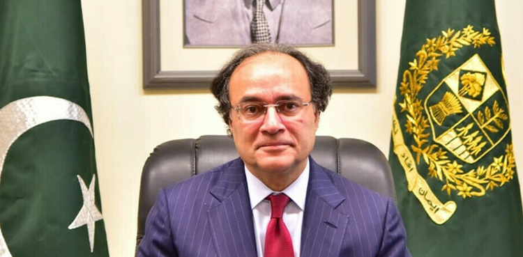 نئے  وزیر خزانہ  عہدہ سنبھالتے ہی امریکا کے دورے کے لئے تیار