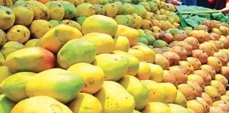 پھلوں کا بادشاہ آم جو بچوں اور بڑوں سب کا پسندیدہ ہے، ویڈیو رپورٹ