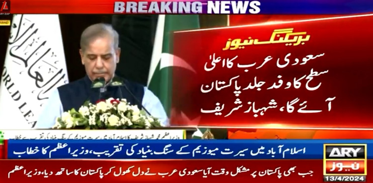 سعودی عرب کا وفد جلد پاکستان کا دورہ کرے گا،  شہباز شریف