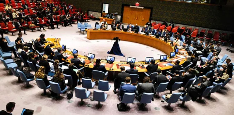 فلسطین کی اقوام متحدہ کی مکمل رکنیت کی درخواست پر سیکیورٹی کونسل میں عدم اتفاق