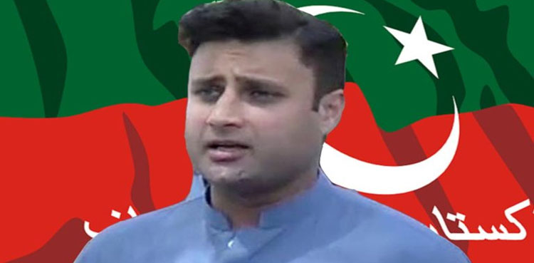 رجیم چینج میں سعودی کردار سے متعلق شیر افضل کے بیان پر زلفی بخاری نے کیا کہا؟