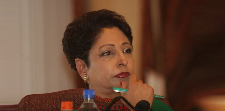 ڈاکٹرملیحہ لودھی