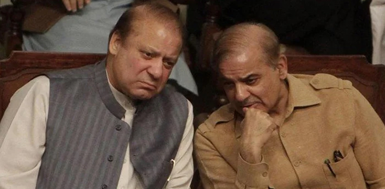 این اے 81