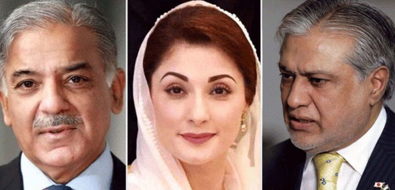 شریف خاندان اہم قومی عہدے اپنے گھر میں بانٹ رہا ہے، بیرسٹر سیف