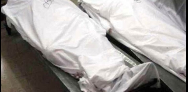 بچوں کی لڑائی ، 2 سگے بھائیوں نے ایک دوسرے کو قتل کردیا