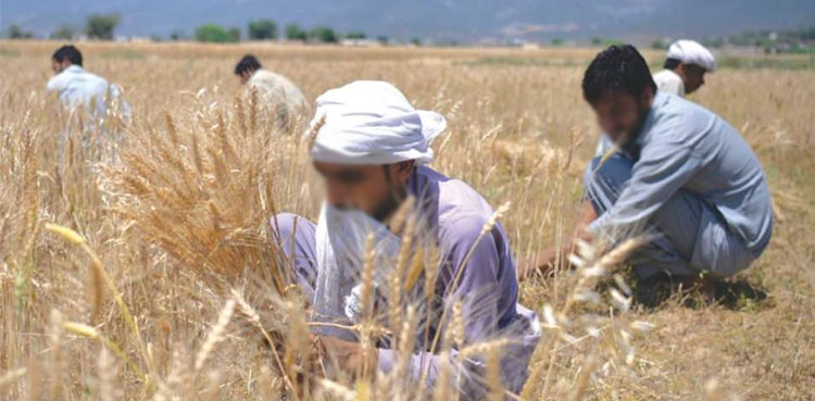 ’’کسان بڑی تحریک کیلئے تیار رہیں، ن لیگ والوں سے حساب لیں گے‘‘