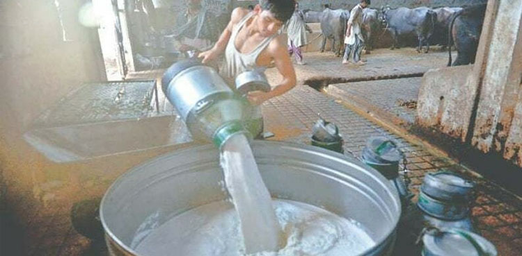 کراچی میں مہنگا دودھ بیچنے والوں کی شامت، بھاری جرمانے