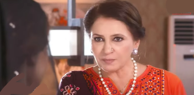 بہو نے مجھے جو الفاظ کہے وہ بُھول نہیں سکتی، صبا فیصل