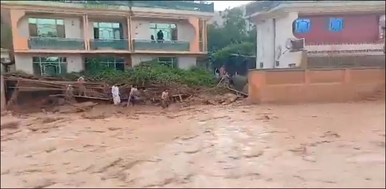 افغانستان میں سیلاب سے 300 افراد جاں بحق