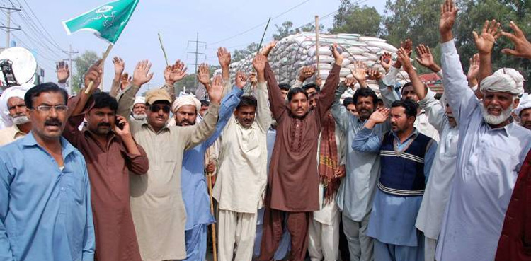 ’’گندم کے مسئلے نے کسانوں کو ذلیل و رسوا کردیا‘‘
